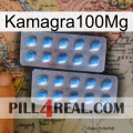 Kamagra100Mg viagra4